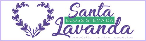 Clube da Santa Lavanda