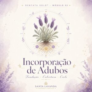 Lavanda Solo — Módulo Incorporação de Adubos