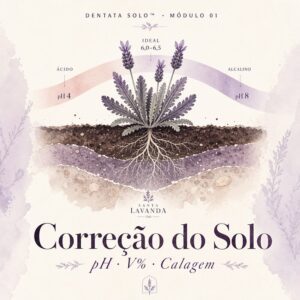 Lavanda Solo — Módulo Correção do Solo