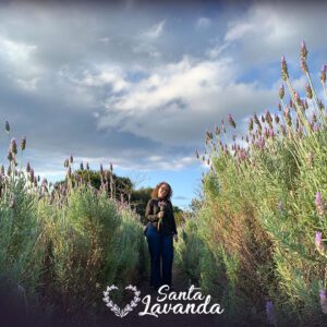 Santa Lavanda em Londrina