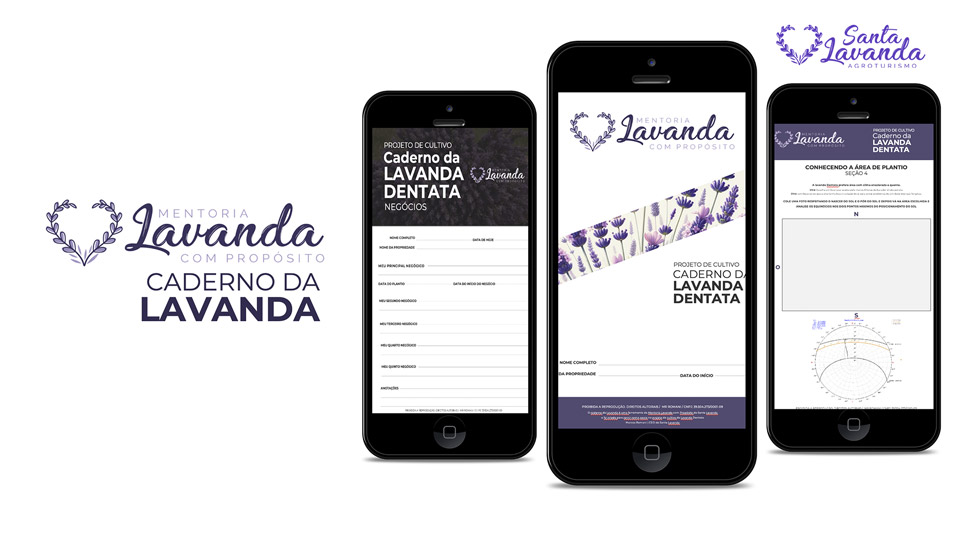 Caderno da Lavanda