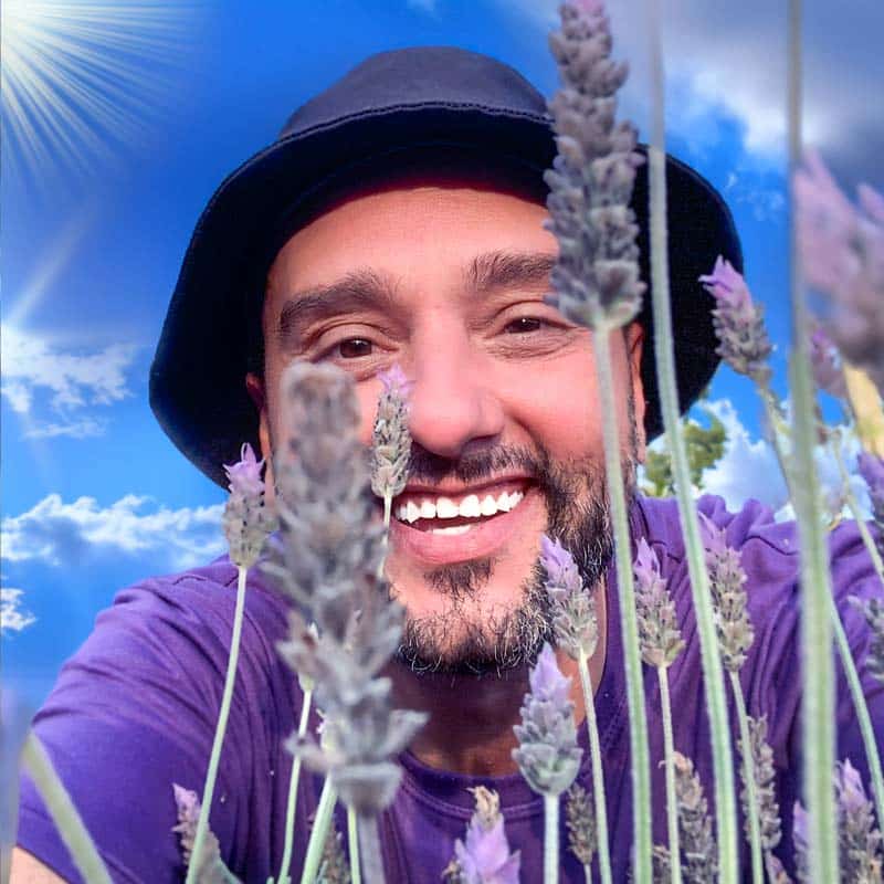 tio lavanda da santa lavanda
