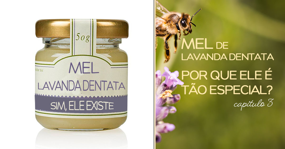 Santa Lavanda, Mel de Lavanda Dentata