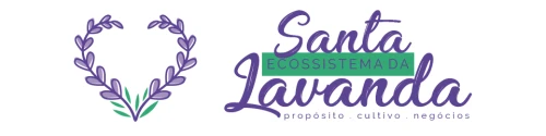 Cidade da Lavanda
