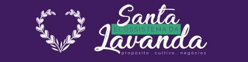 Cidade da Lavanda